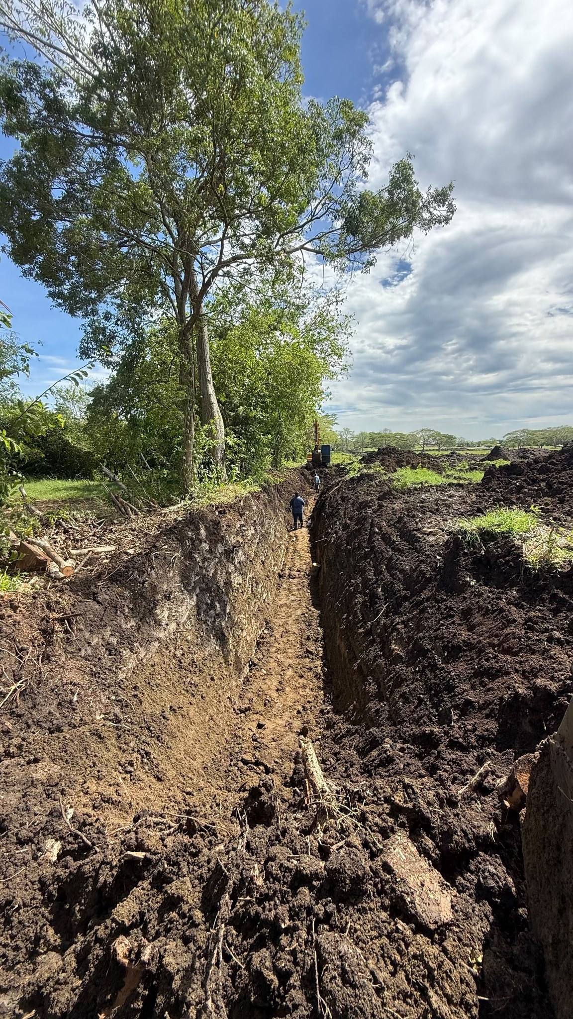 Avance de obra — foto 10 de 10